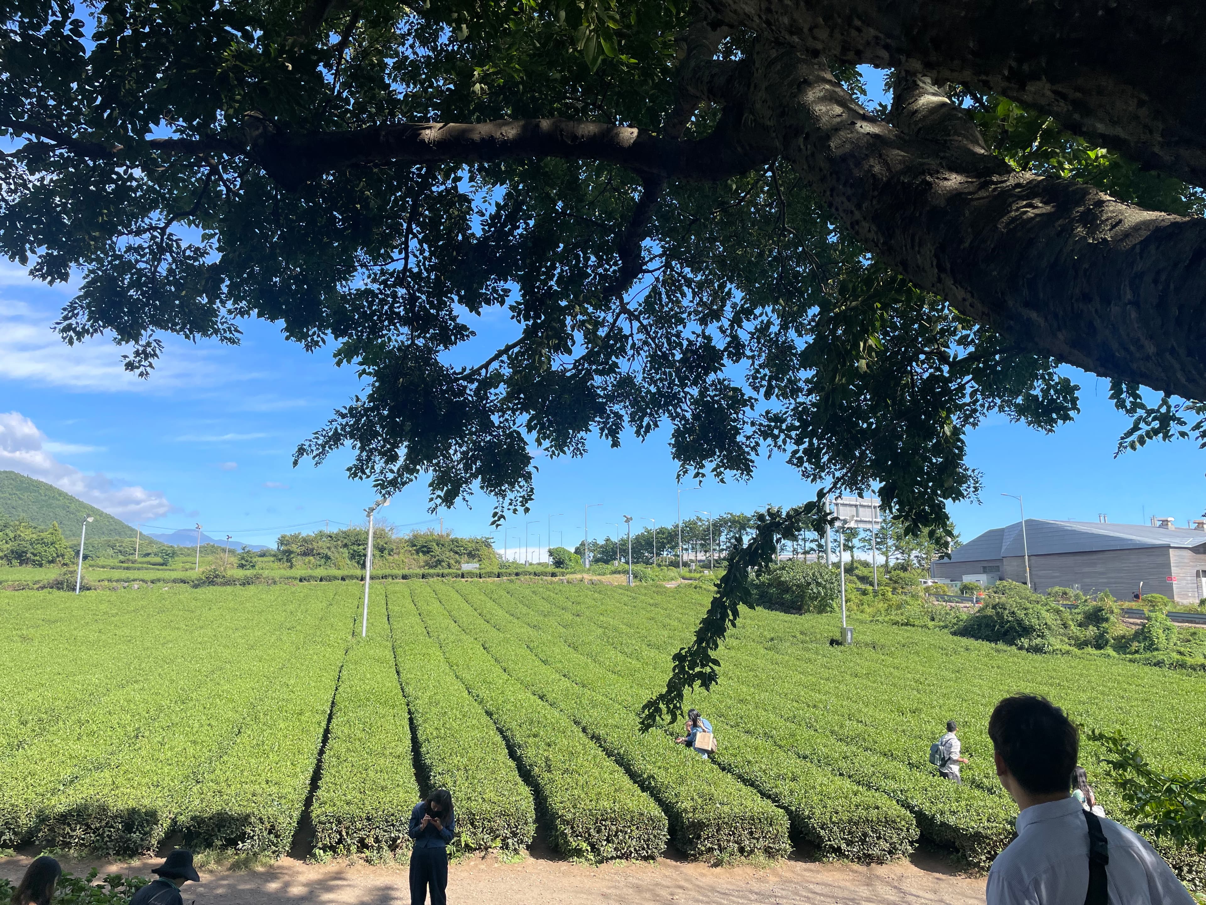 Photo by me - Camera: Unknown