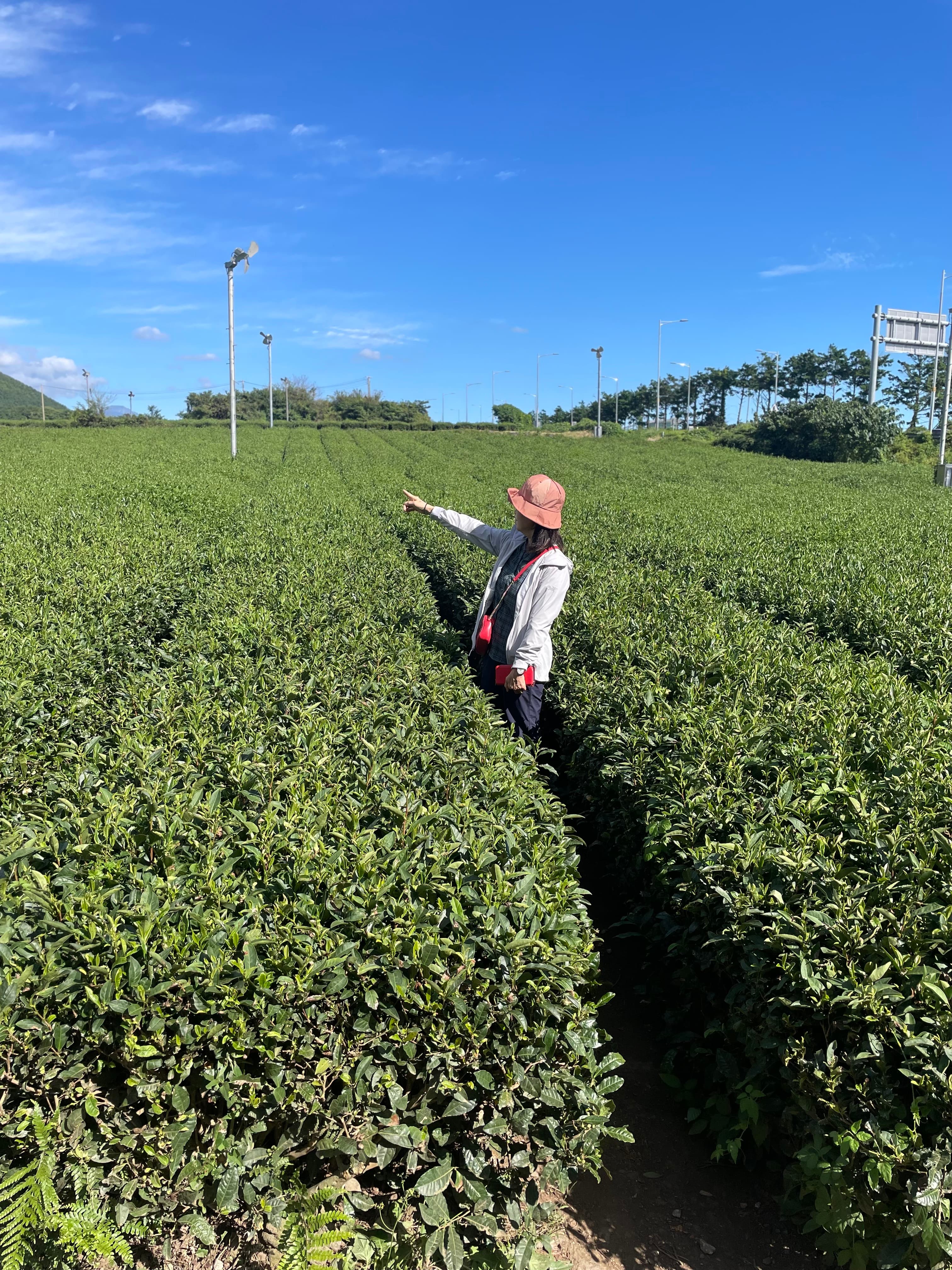 Photo by me - Camera: Unknown