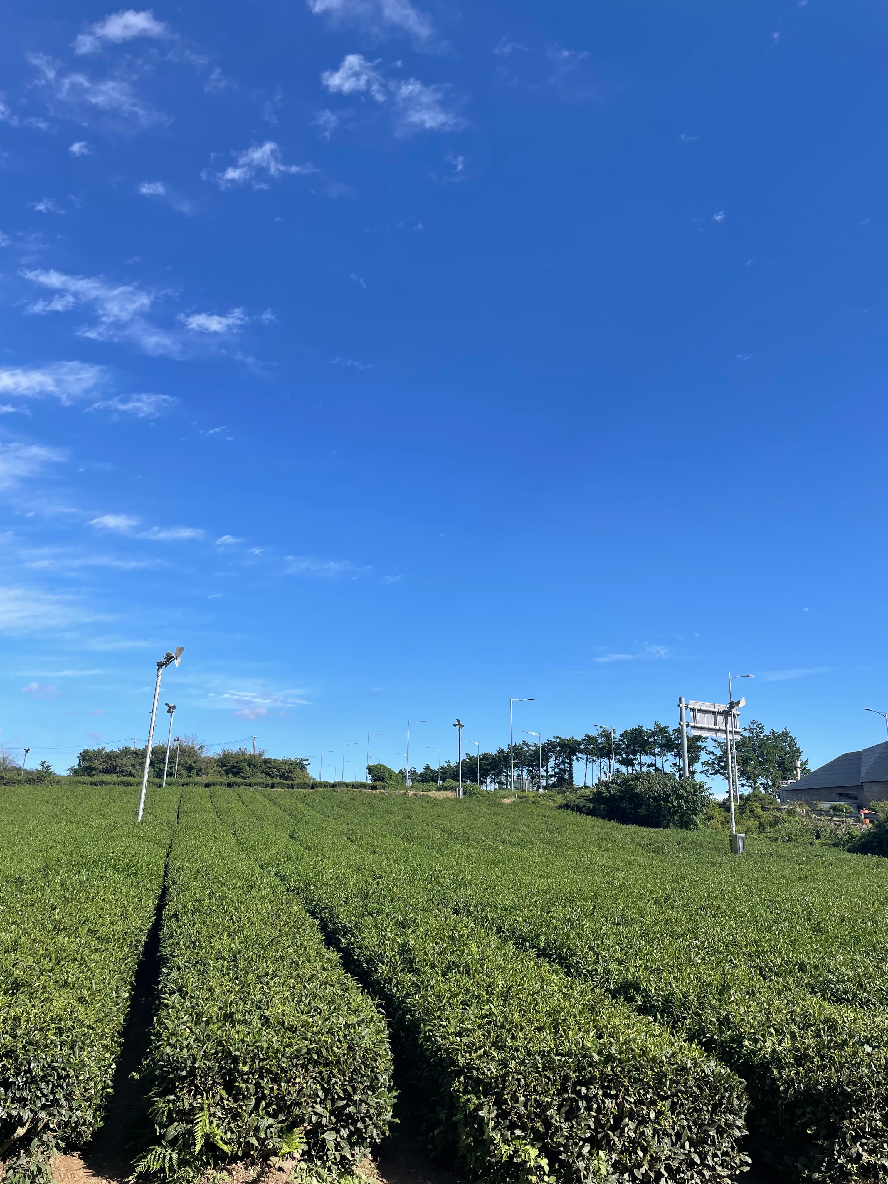 Photo by me - Camera: Unknown