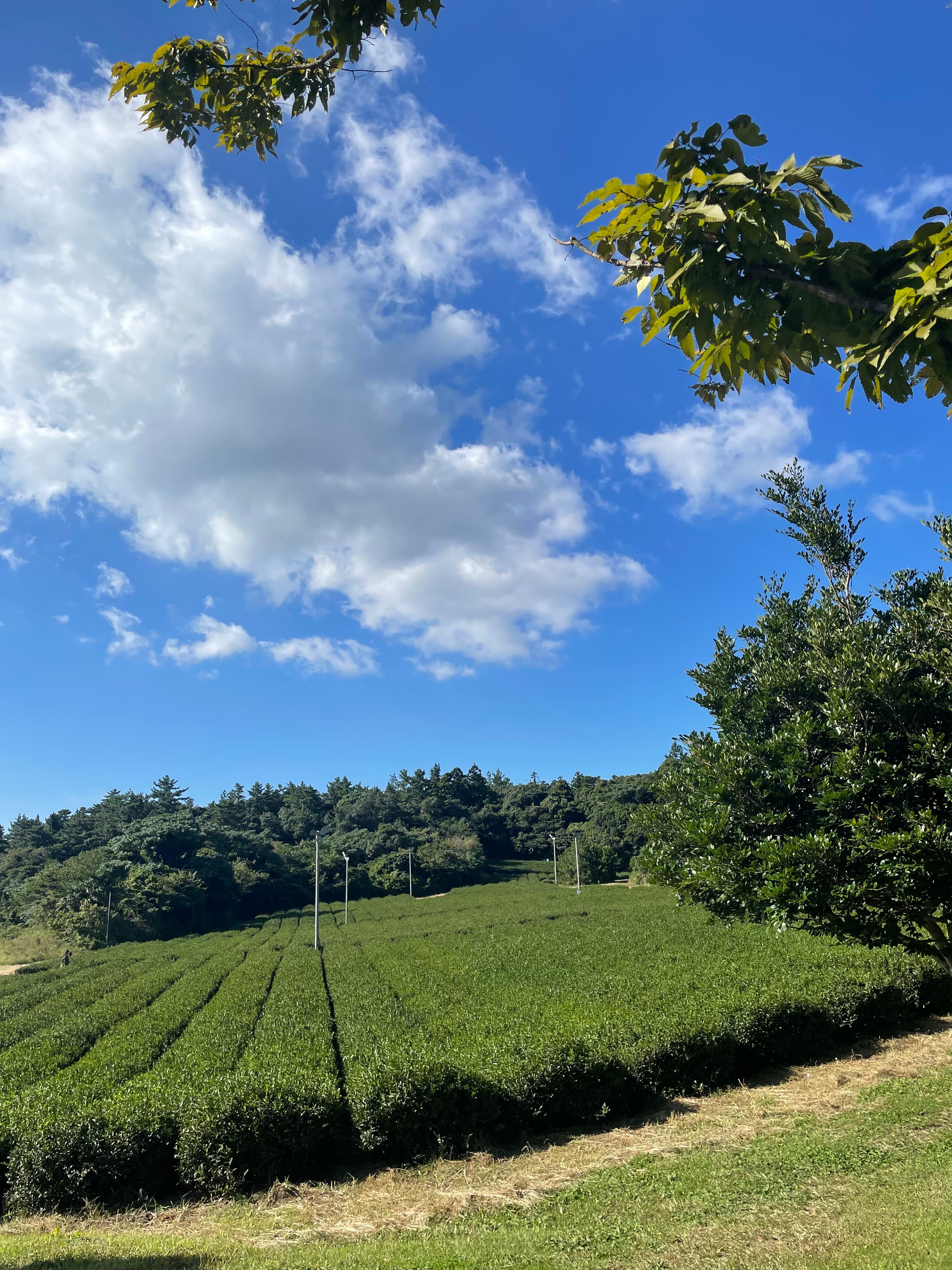 Photo by me - Camera: Unknown